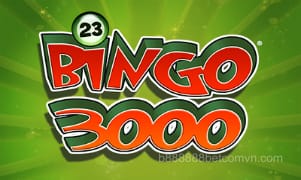 Bingo 3000